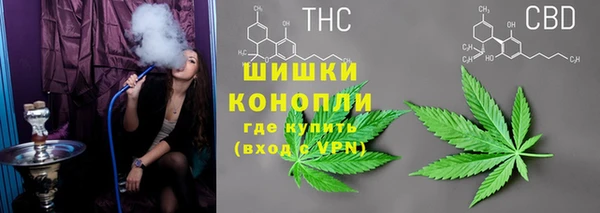 PSILOCYBIN Вязники