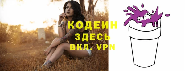 соль ск Нея