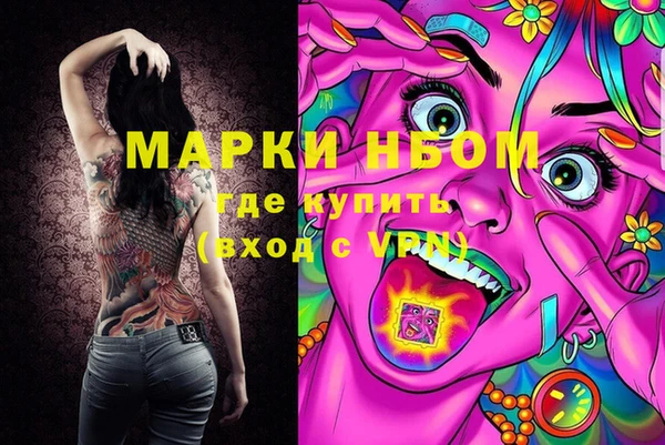 соль ск Нея
