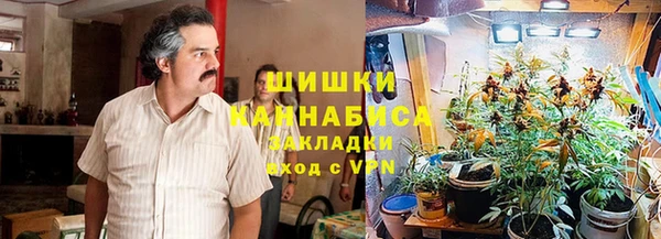 соль ск Нея