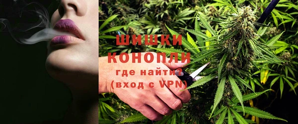 бошки Надым