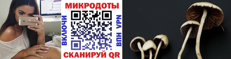 Псилоцибиновые грибы ЛСД  дарнет шоп  Нытва 